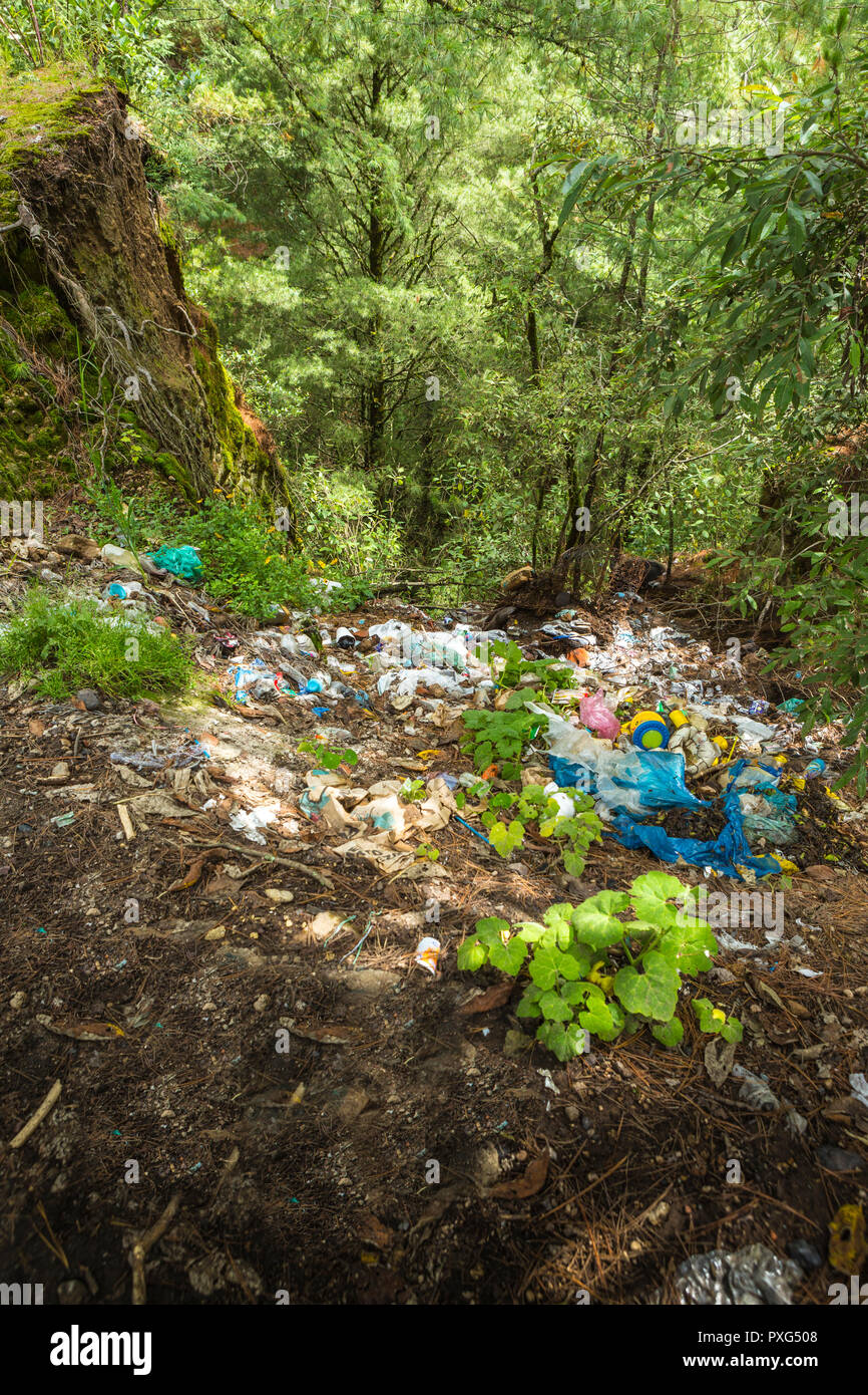 Müll in den Wald geworfen Stockfoto