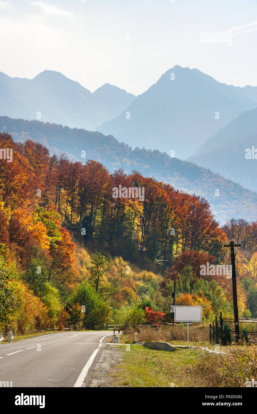 Weg im Wald bei Transfagarasan Stockfoto