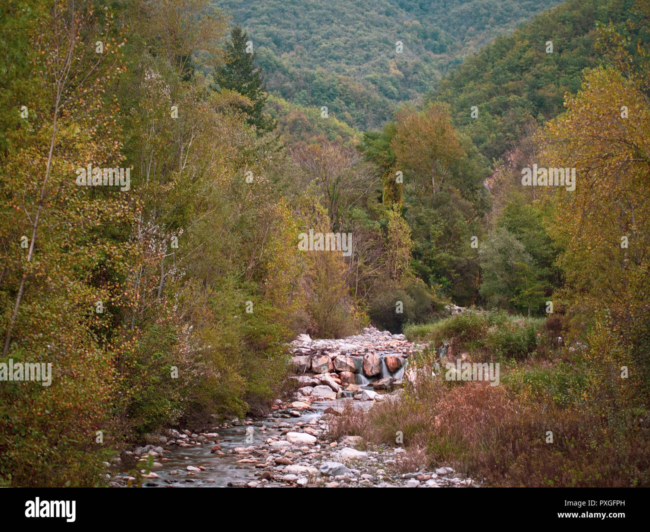 Herbst Landschaft mit Bach, Feder in den Apuanischen Alpen in der Nähe von Equi, Lunigiana, Italien. Stockfoto