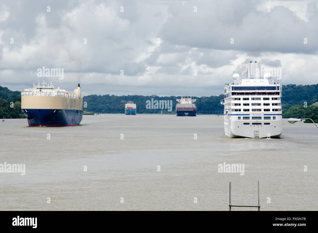 Vier Schiffe im Transit durch den Panamakanal. Es ist ein Kreuzfahrtschiff auf der rechten Seite, ein Roll-on-roll-off auf der linken Seite und zwei Containerschiffe in der Ferne Stockfoto