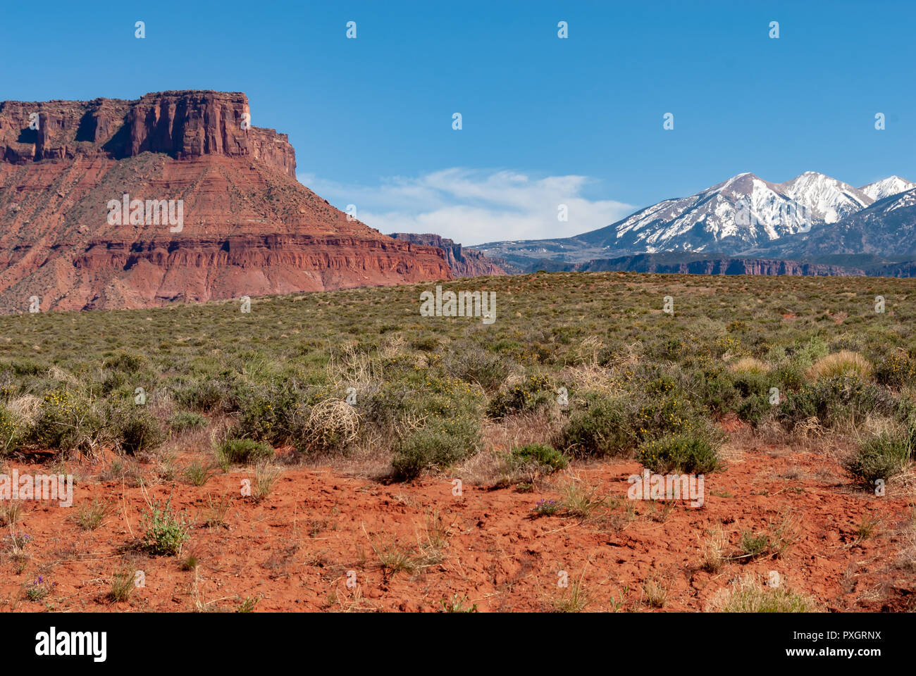 Malerische Aussichten von Fisher Towers im Arches Nationalpark in Utah Stockfoto