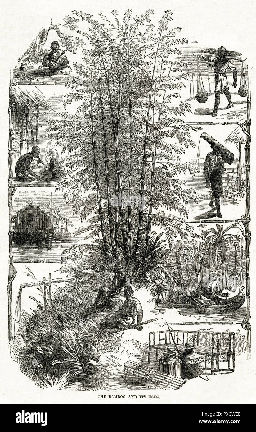 Bambus und seine Verwendung in China 1867 Stockfoto