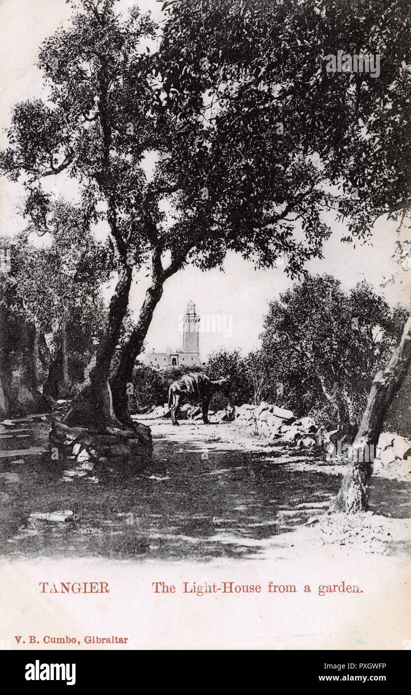 Tanger Marokko Der Leuchtturm Aus Einem Garten Datum Ca 1905