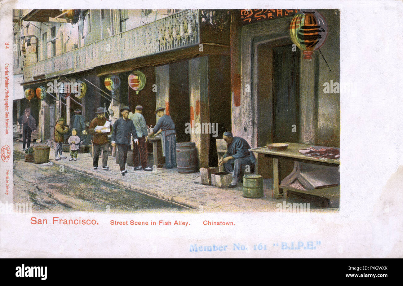 San Francisco, Kalifornien, USA - Chinatown, Fisch Gasse. Datum: 1904 Stockfoto