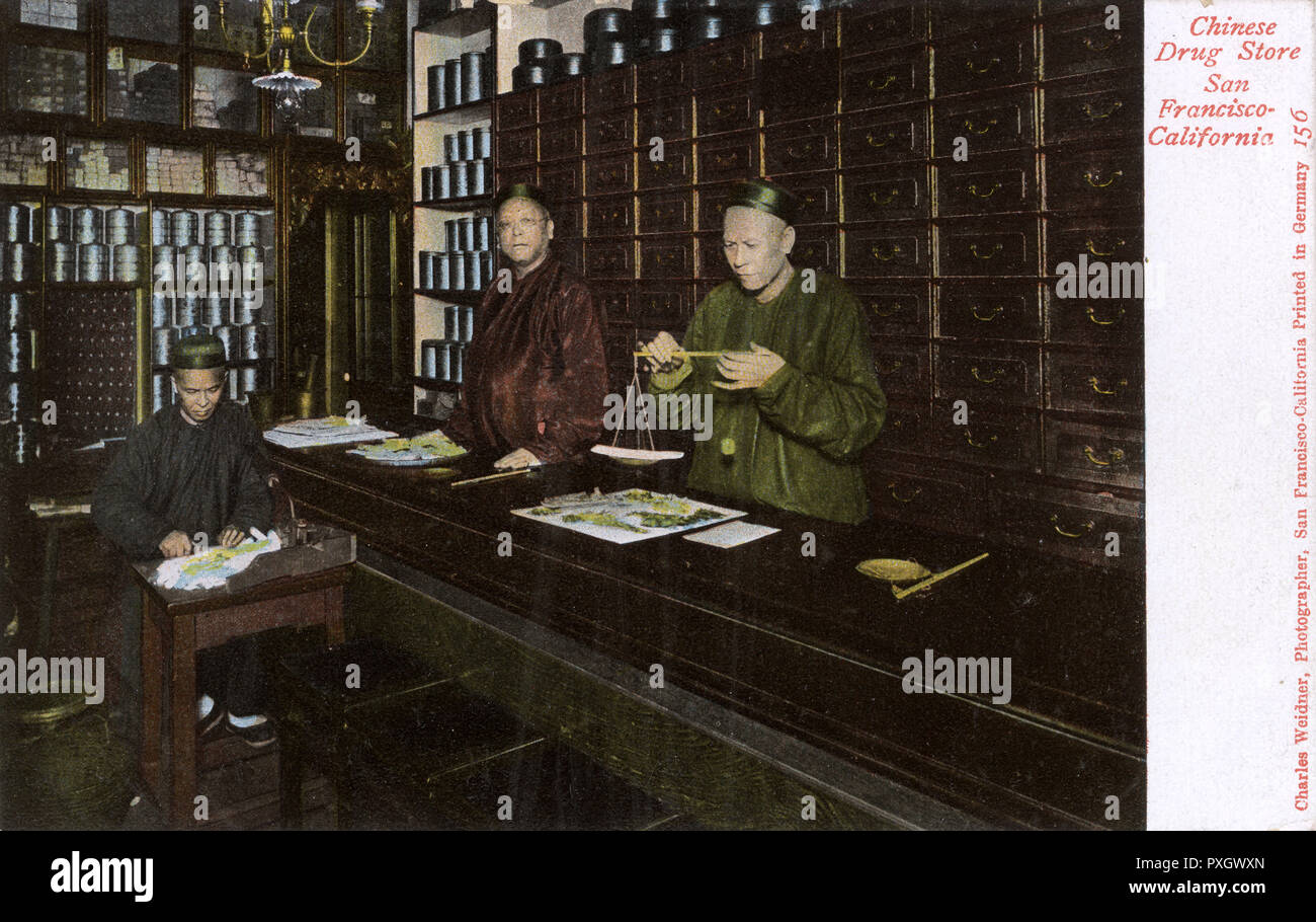 San Francisco, Kalifornien, USA - Chinatown, Drug Store (Traditionelle Chinesische Medizin). Datum: ca. 1904 Stockfoto