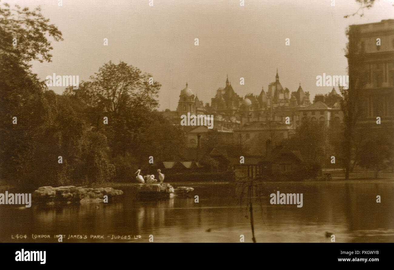 St. James's Park, London - Pelikane am See. Stockfoto