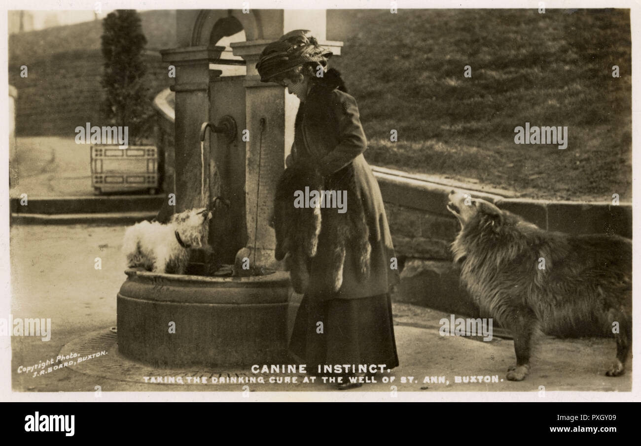 Hündchen nehmen das "Tropfmittel" am St. Ann's Brunnen, Buxton Stockfoto