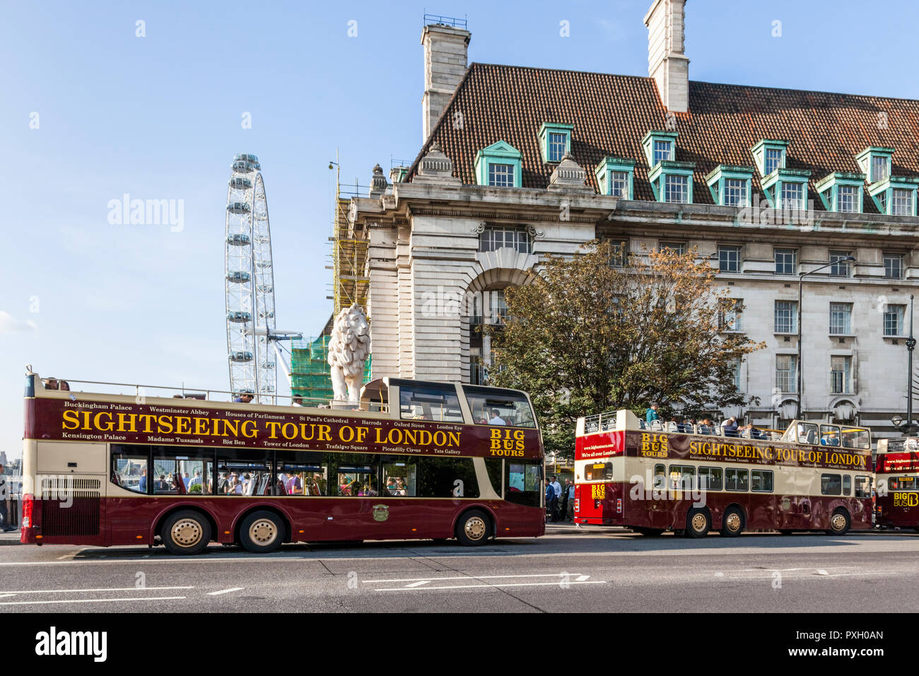 Sightseeing-tourbusse von Big Bus Touren außerhalb der County Hall mit dem London Eye in der Ferne. London, England, Großbritannien Stockfoto