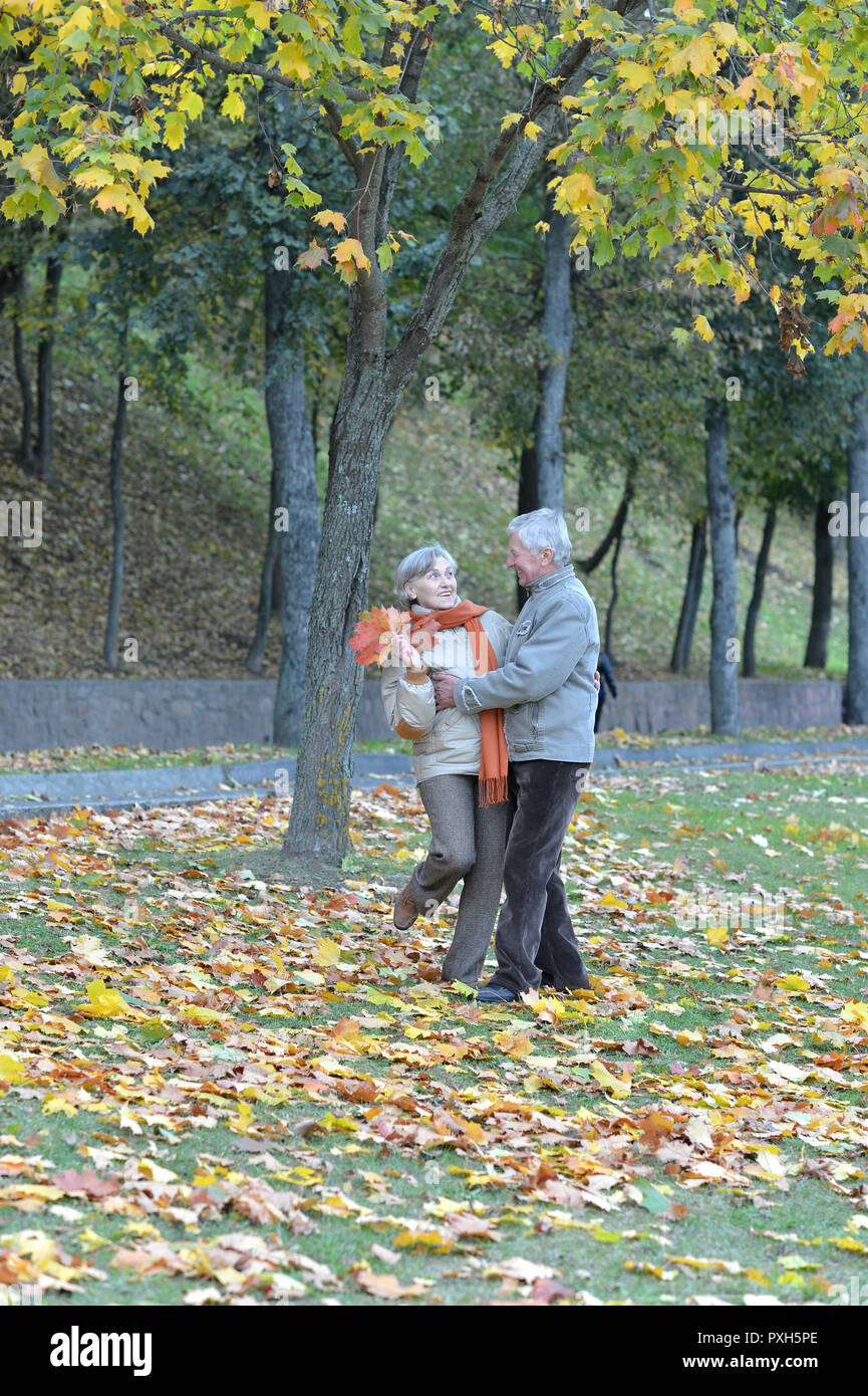 Portrait von Gerne älteres Paar im Herbst Park Stockfoto