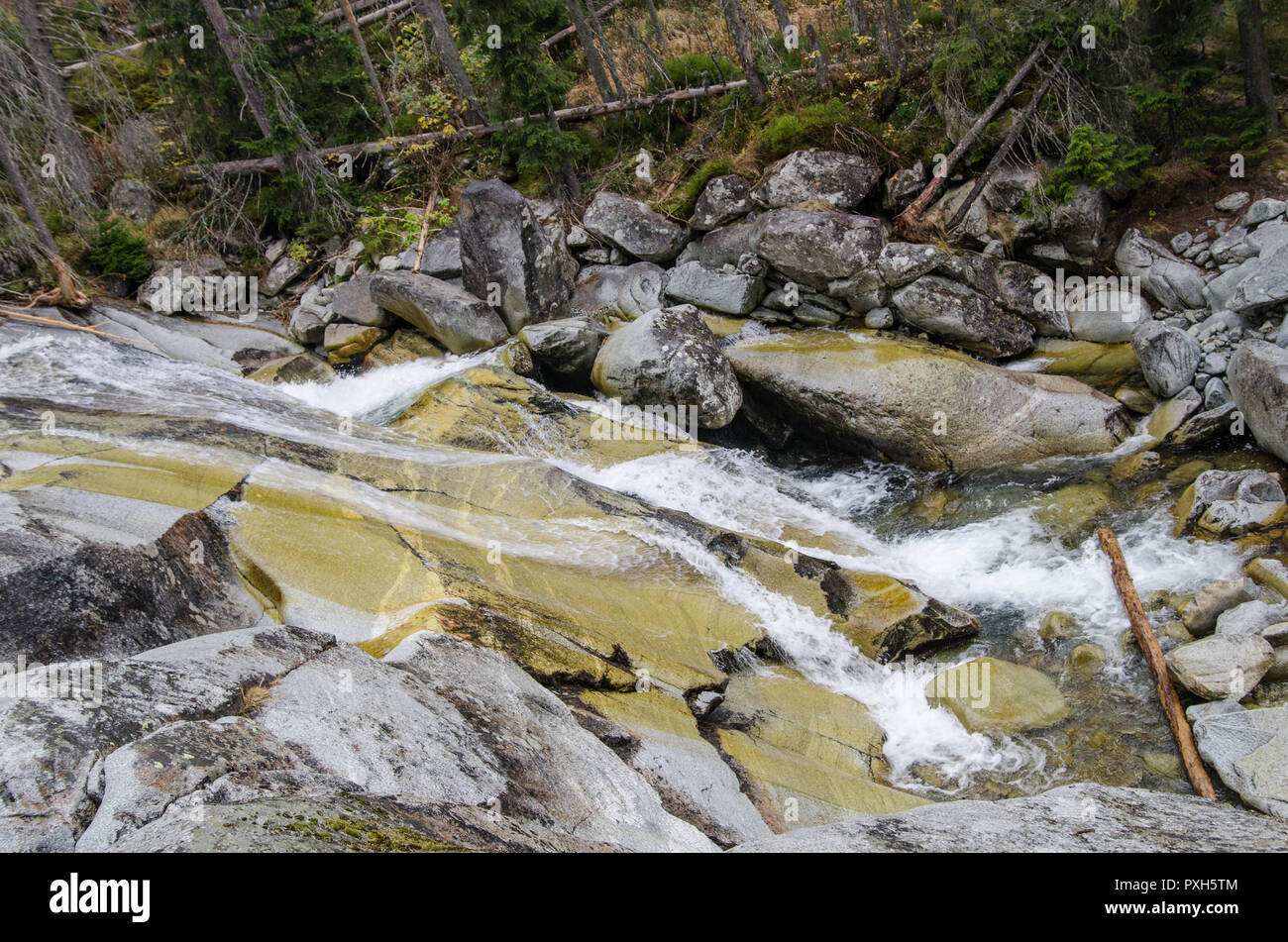 Schönen Fluss in den Bergen der Hohen Tatra Europa Stockfoto