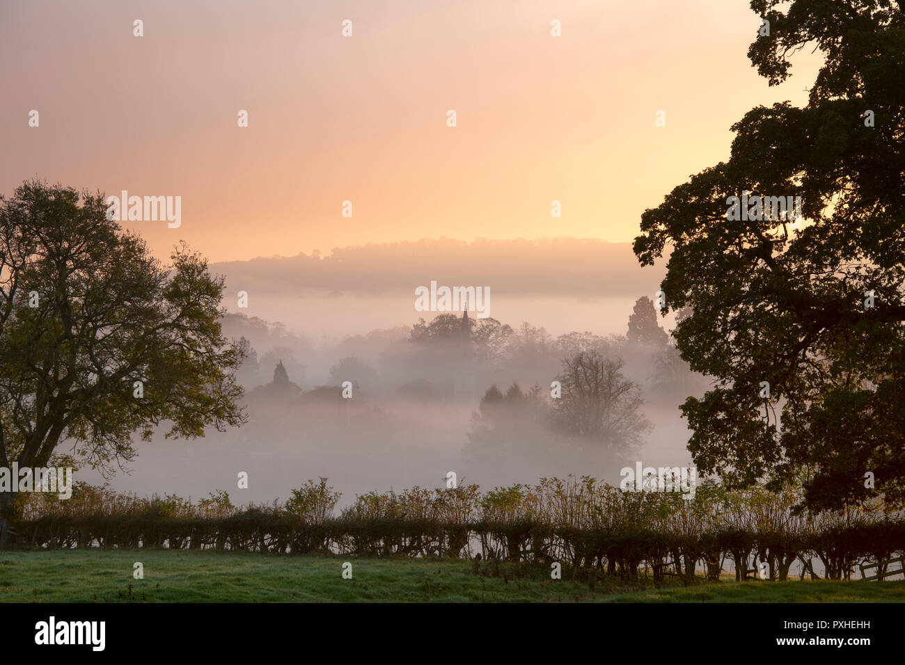 Dunst und Nebel bei Sonnenaufgang rollen über die Landschaft rund um den cotswold Dorf Lower Slaughter im Herbst. Cotswolds, Gloucestershire, England Stockfoto