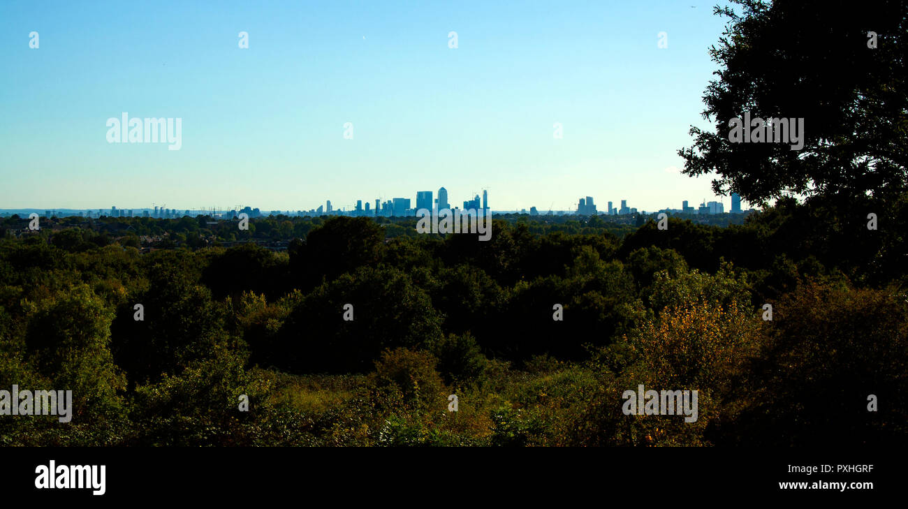 Blick auf die Skyline von London, Canary Wharf, von East London Stockfoto