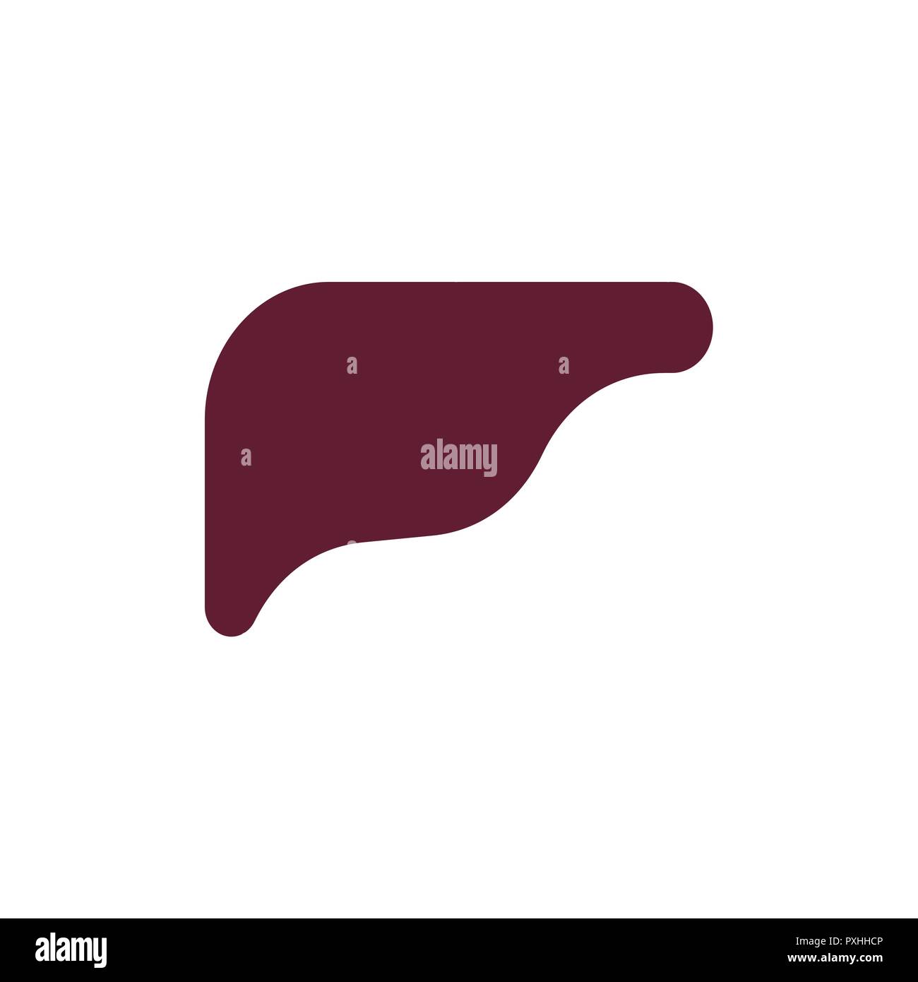 Leber innere Organe Anatomie. Vector Illustration