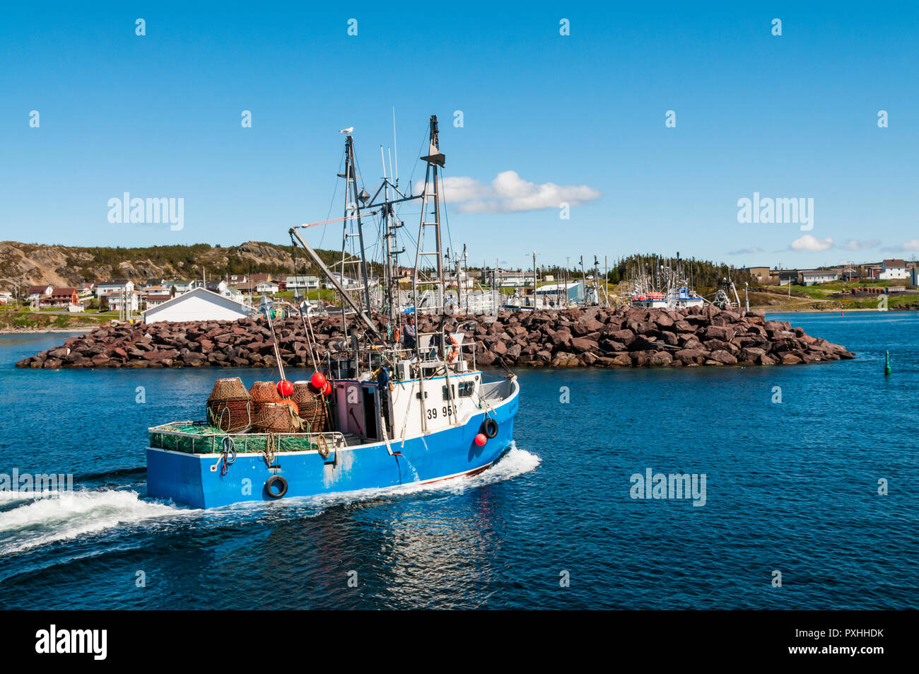 Ein Fischerboot Rückkehr zum Hafen in twillingate an der Nordküste von Neufundland, Kanada Stockfoto