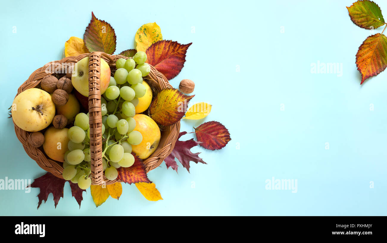 Thanksgiving Kunst; Herbst Blätter und Früchte Korb mit frischem Obst im Herbst Stockfoto