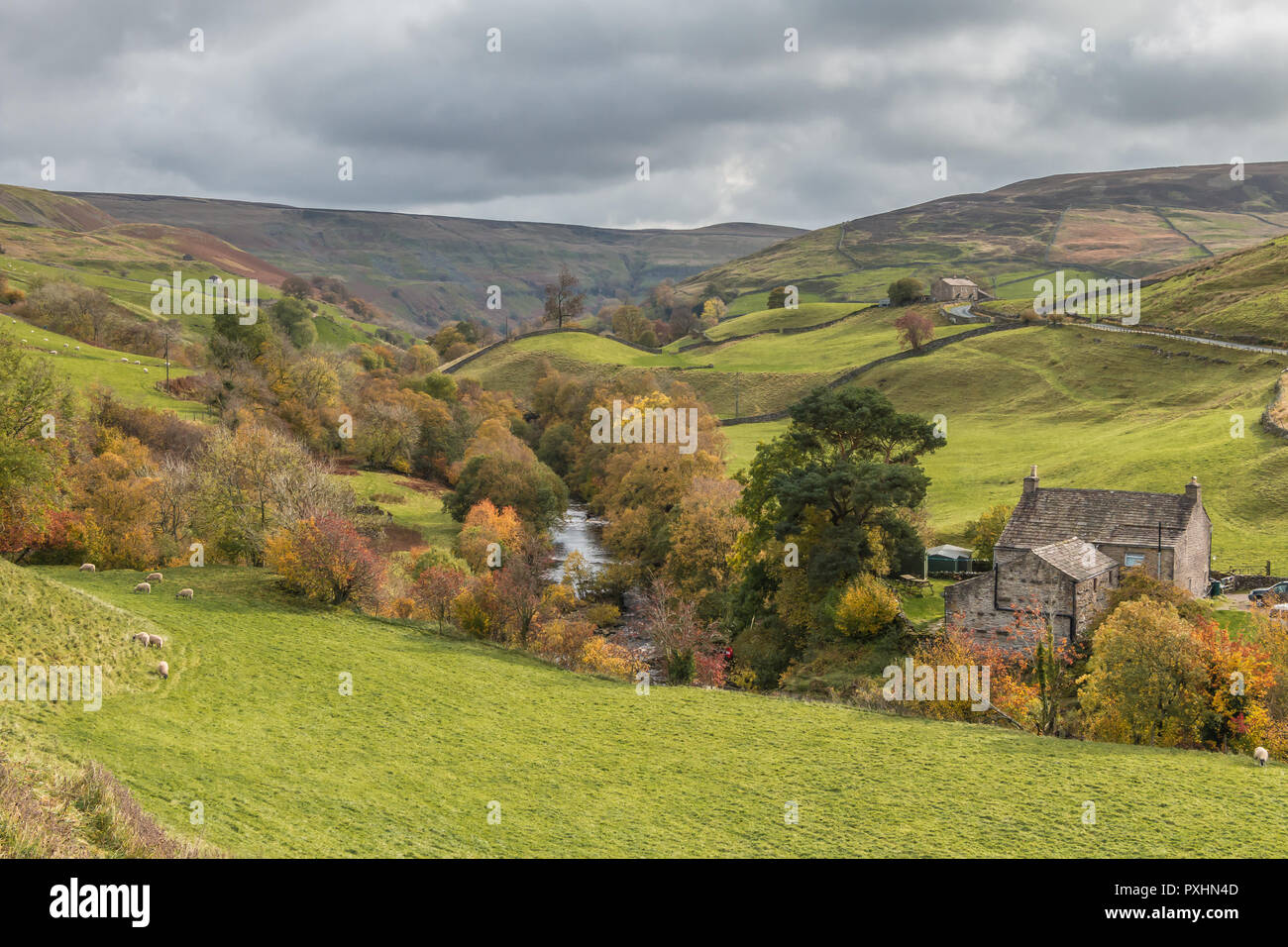 Yorkshire Dales National Park Herbst Landschaft, Park House und Fluss Swale, Keld, Obere Swaledale, Großbritannien Stockfoto