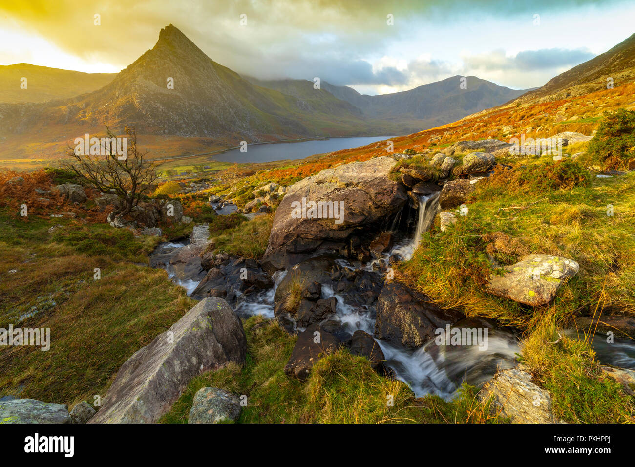 Spektakulären Sonnenaufgang über den majestätischen Berg Ogwen Valley und recognizasble Tryfan im Snowdonia National Park, Conwy, Wales beliebte Tanne zu Fuß Stockfoto