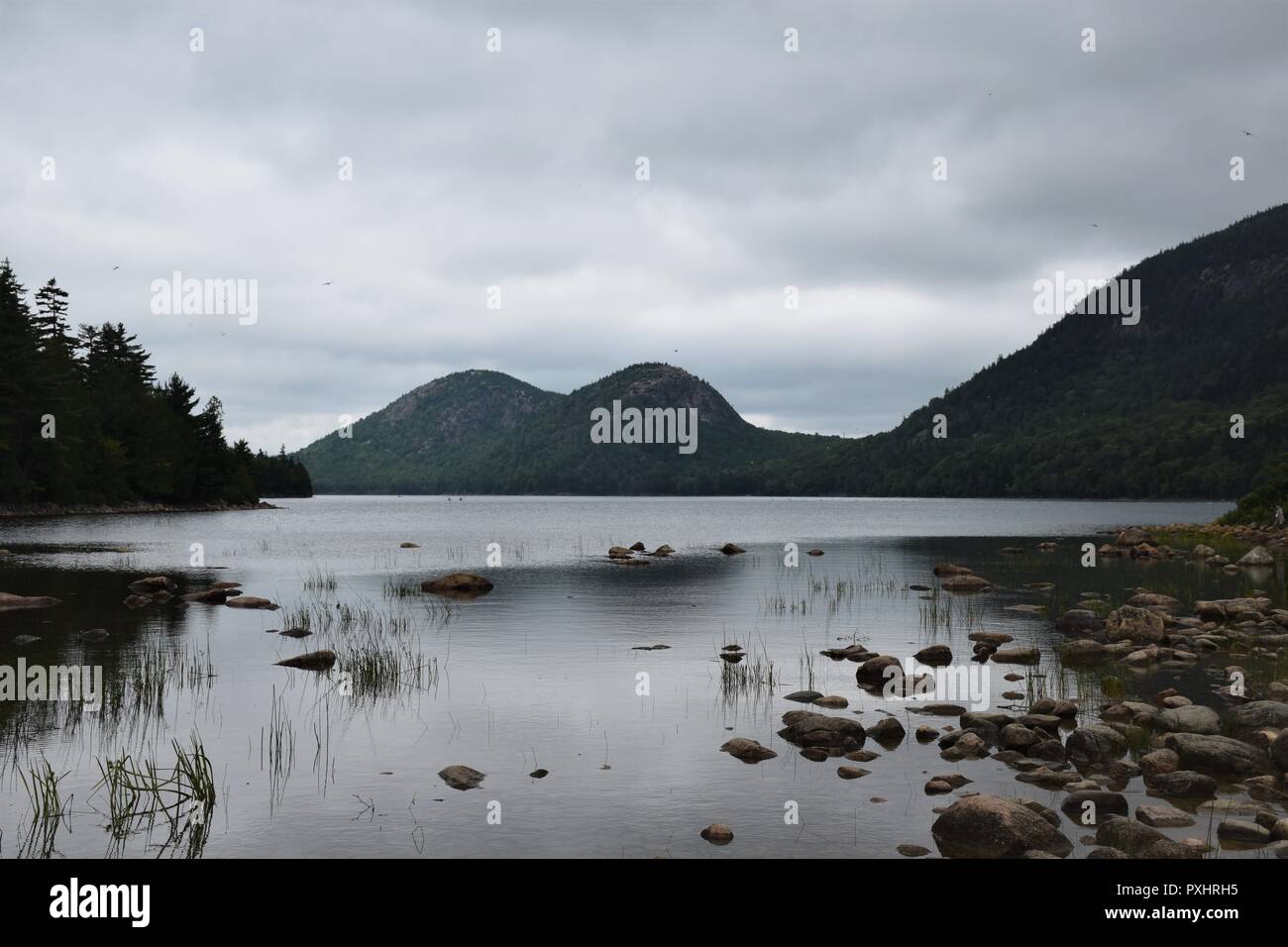 Cherryfield milbridge Acadia z. b. Stockfoto