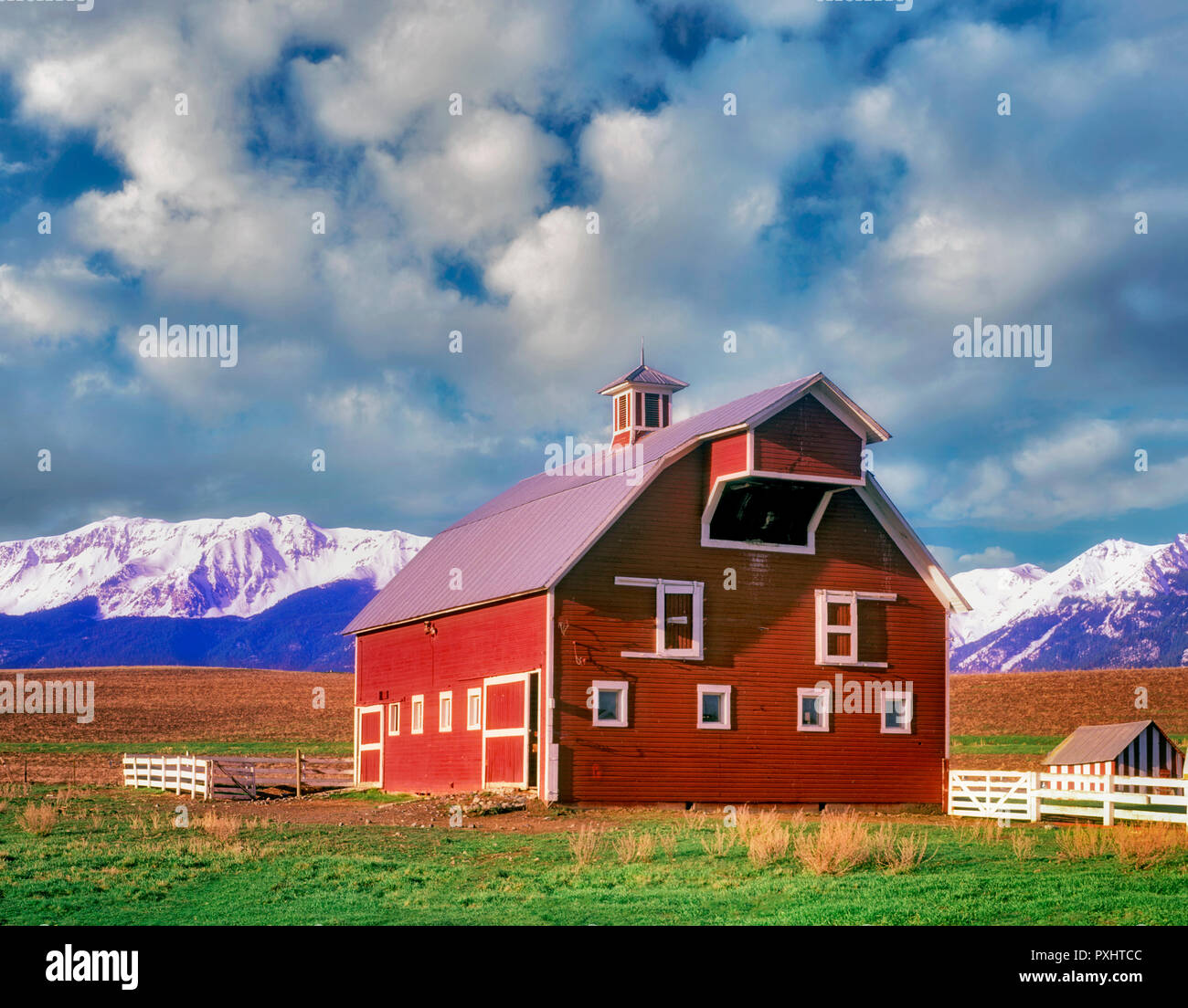 Scheune mit weißen Zierleisten und Weide mit Wallowa Mountains. Oregon Stockfoto