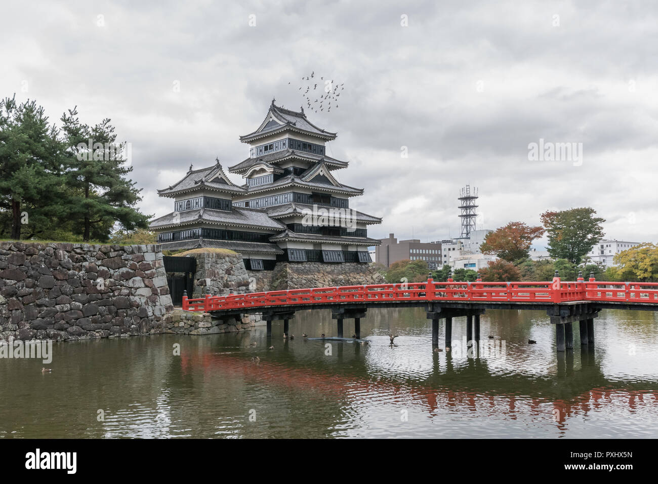 Schloß Matsumoto mit Uzumibashi und Vögel, Nagano, Japan Stockfoto