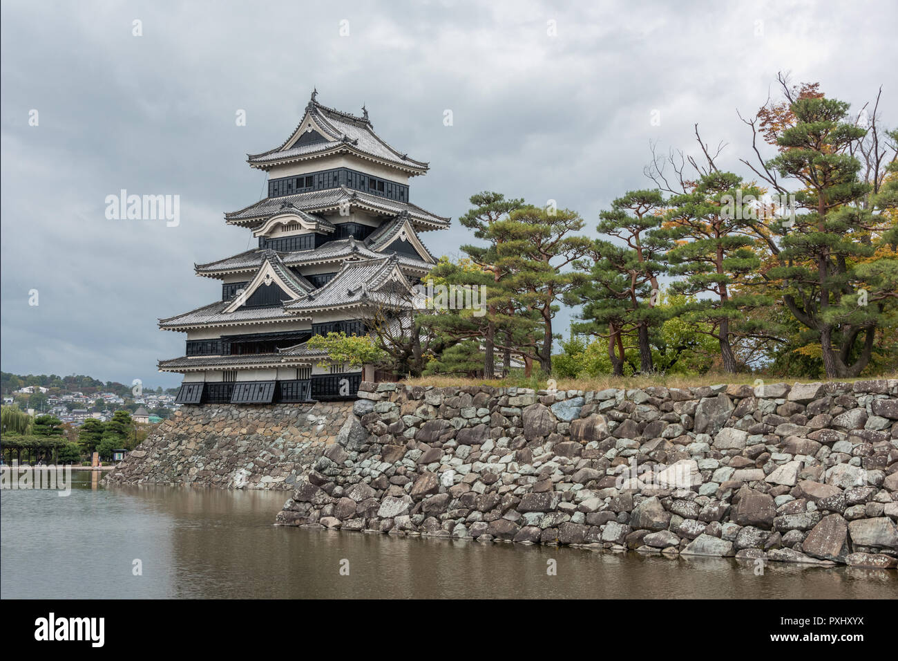 Schloß Matsumoto (schwarze Krähe) und Graben mit Pinien, Nagano, Japan Stockfoto