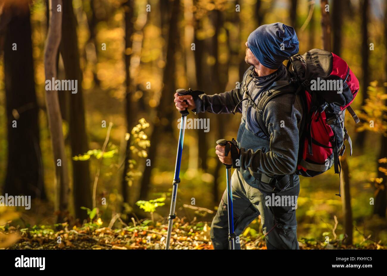 Kaukasische Wanderer im Wald während der schönen goldenen Herbst Laub. Männer mit Rucksack auf dem Trailhead. Stockfoto