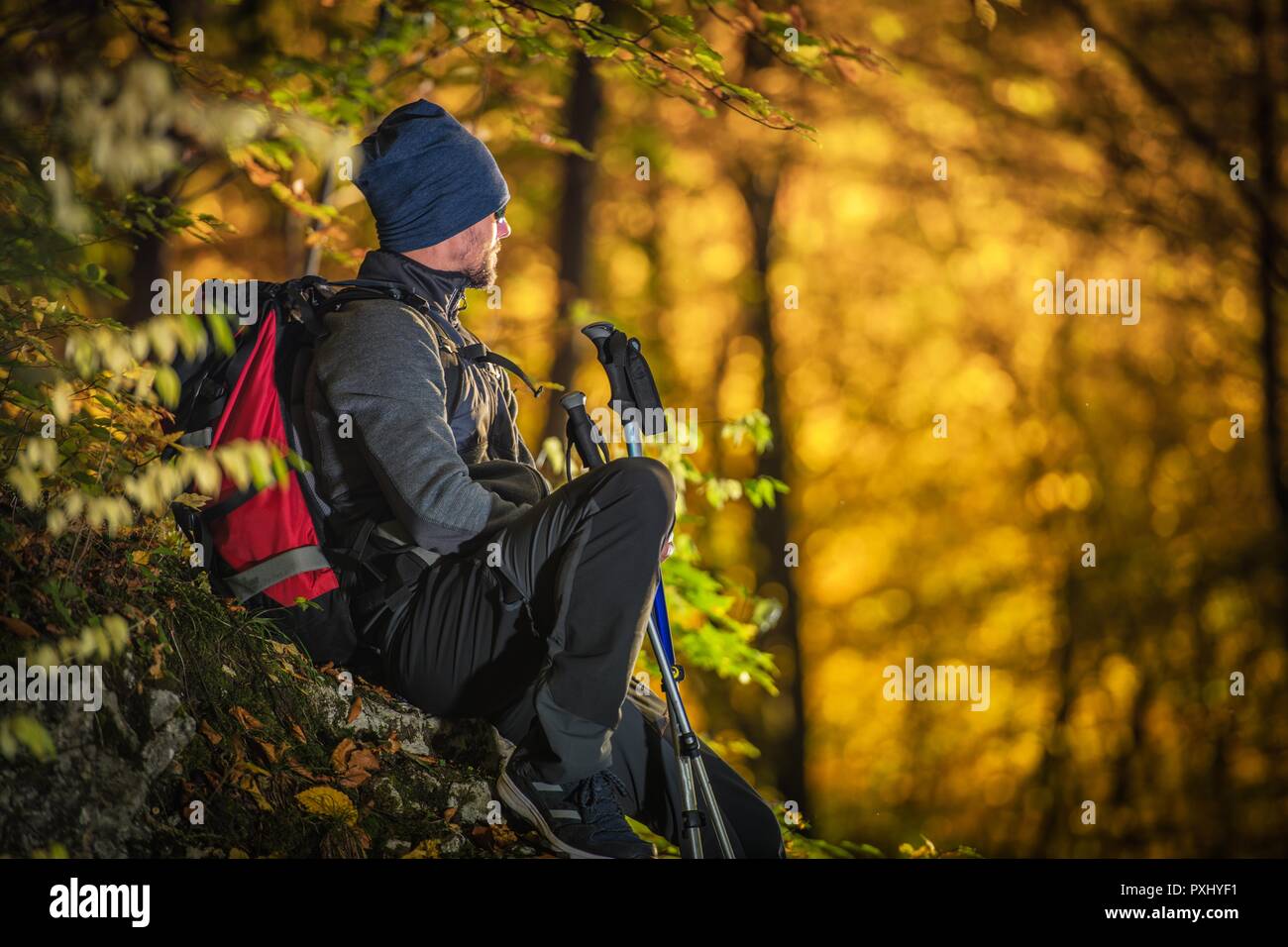 Herbst Wald wandern. Kaukasische Männer mit Rucksack und Nordic Walking Stöcke genießen das Laub. Stockfoto