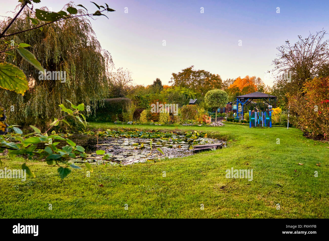 Kleiner Teich An Einem Sommertag Im Garten Stockfoto Bild