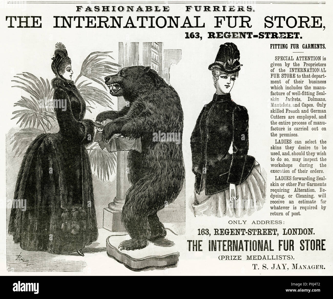 Anzeige für International Pelz Store 1886 Stockfoto