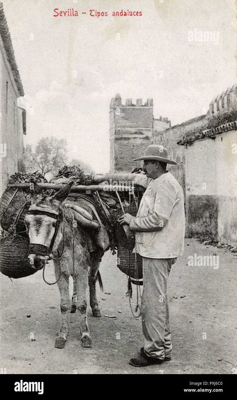 Andalusischer Mann mit beladenem Esel - Sevilla, Spanien Stockfoto