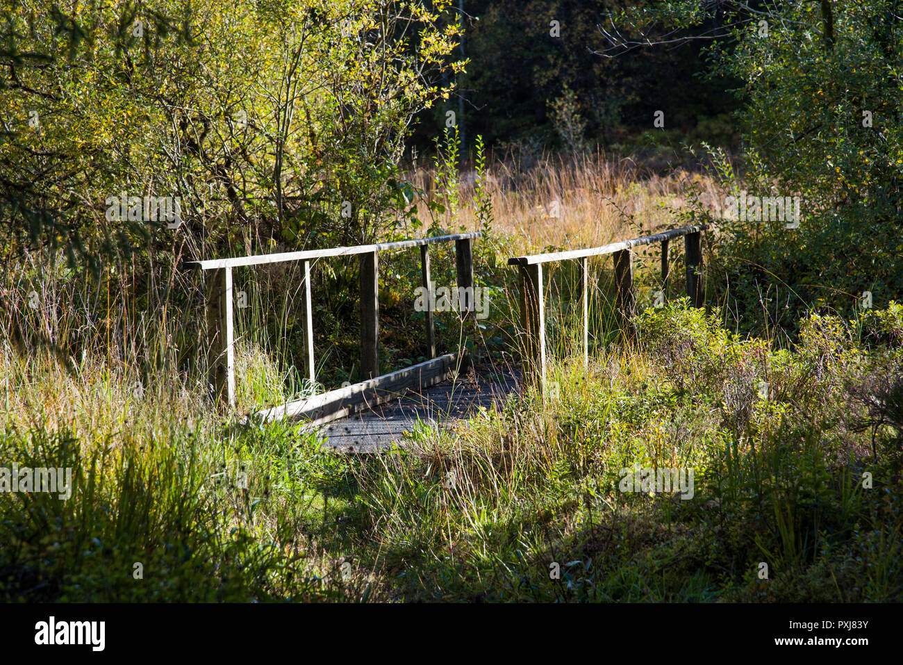 Blick auf kleine Holzbrücke im Lough Navar Forest in Co Fermanagh Stockfoto