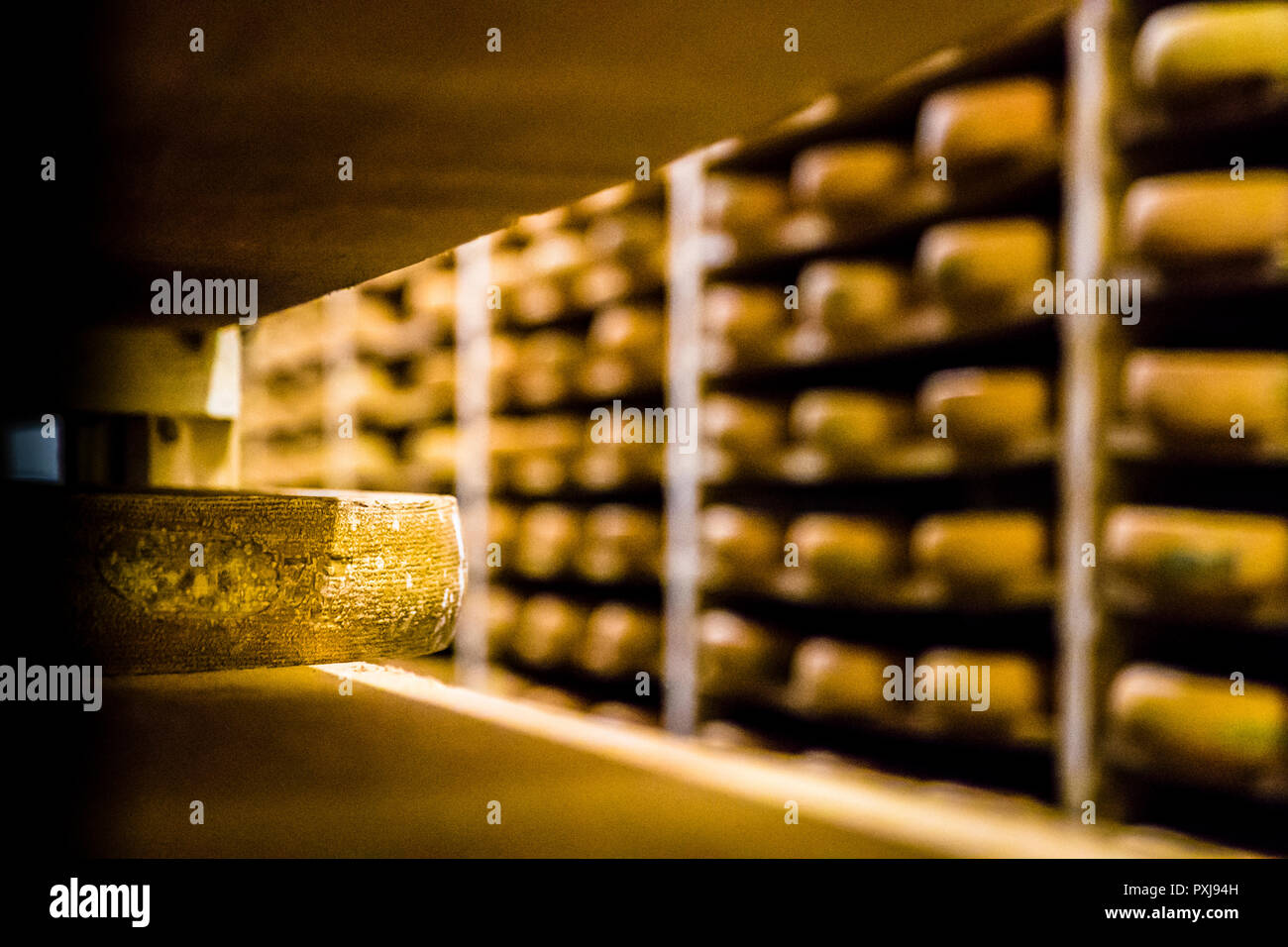 Käseproduktion in der Franche-Comté, Frankreich Stockfoto