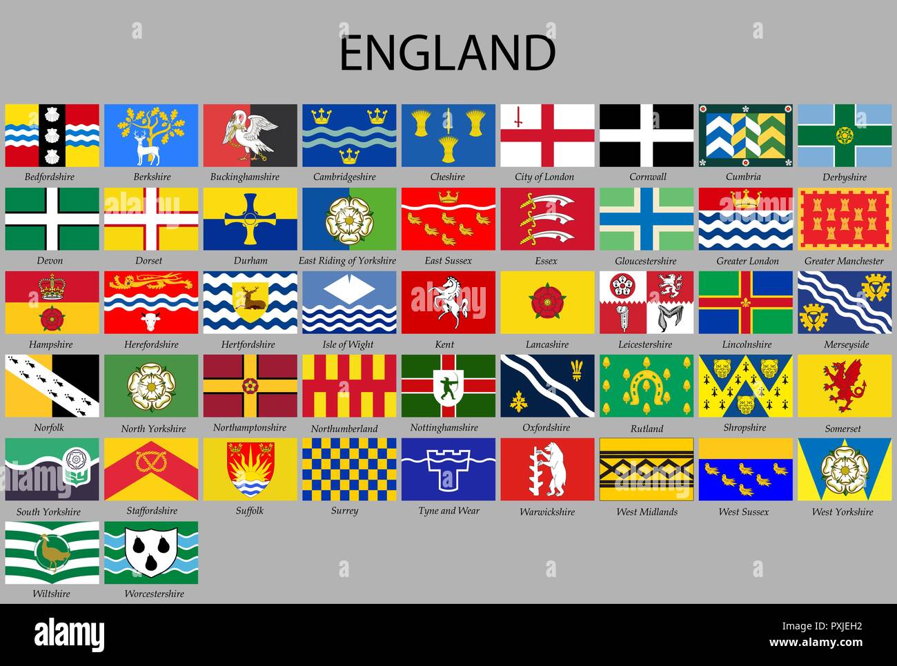 Alle Flags Grafschaften Englands. Vector Illustration Stock Vektor