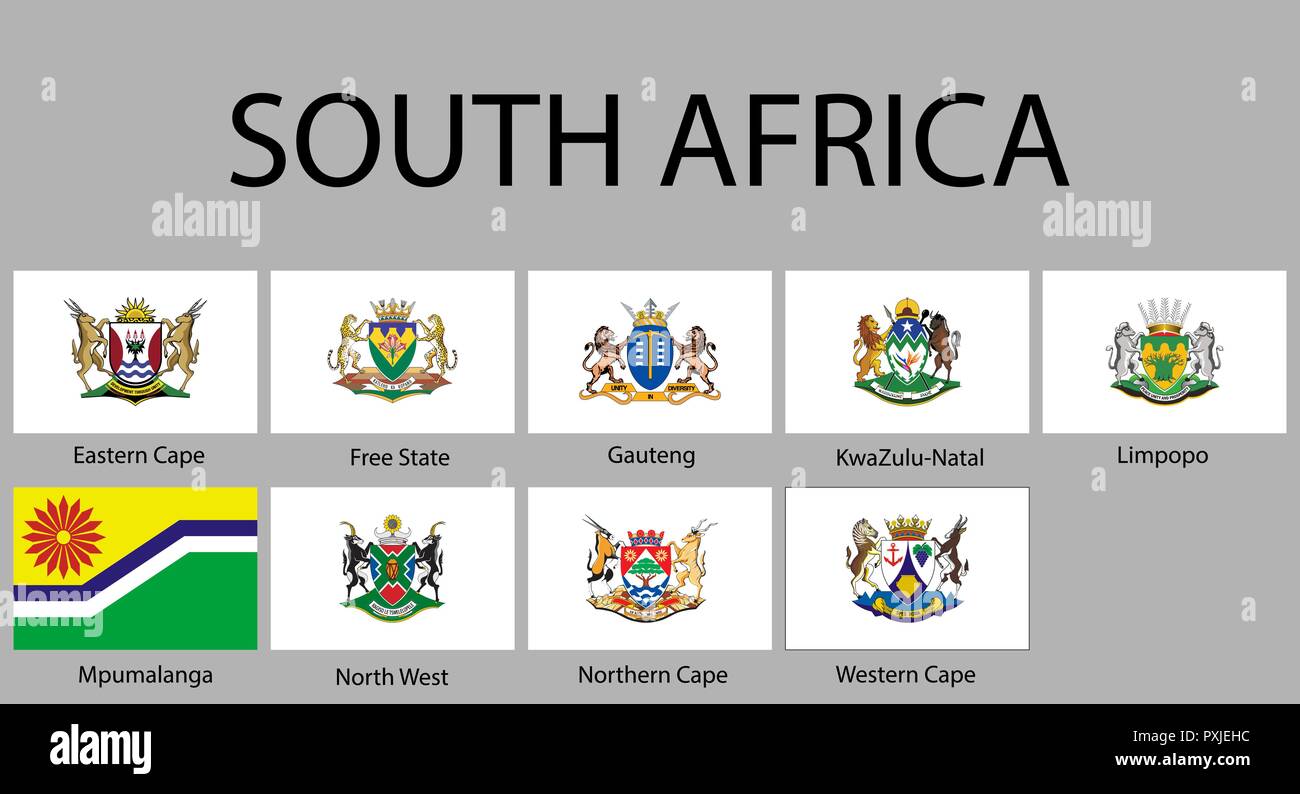 Alle Flaggen der Regionen von Südafrika. Vector Illustration Stock Vektor