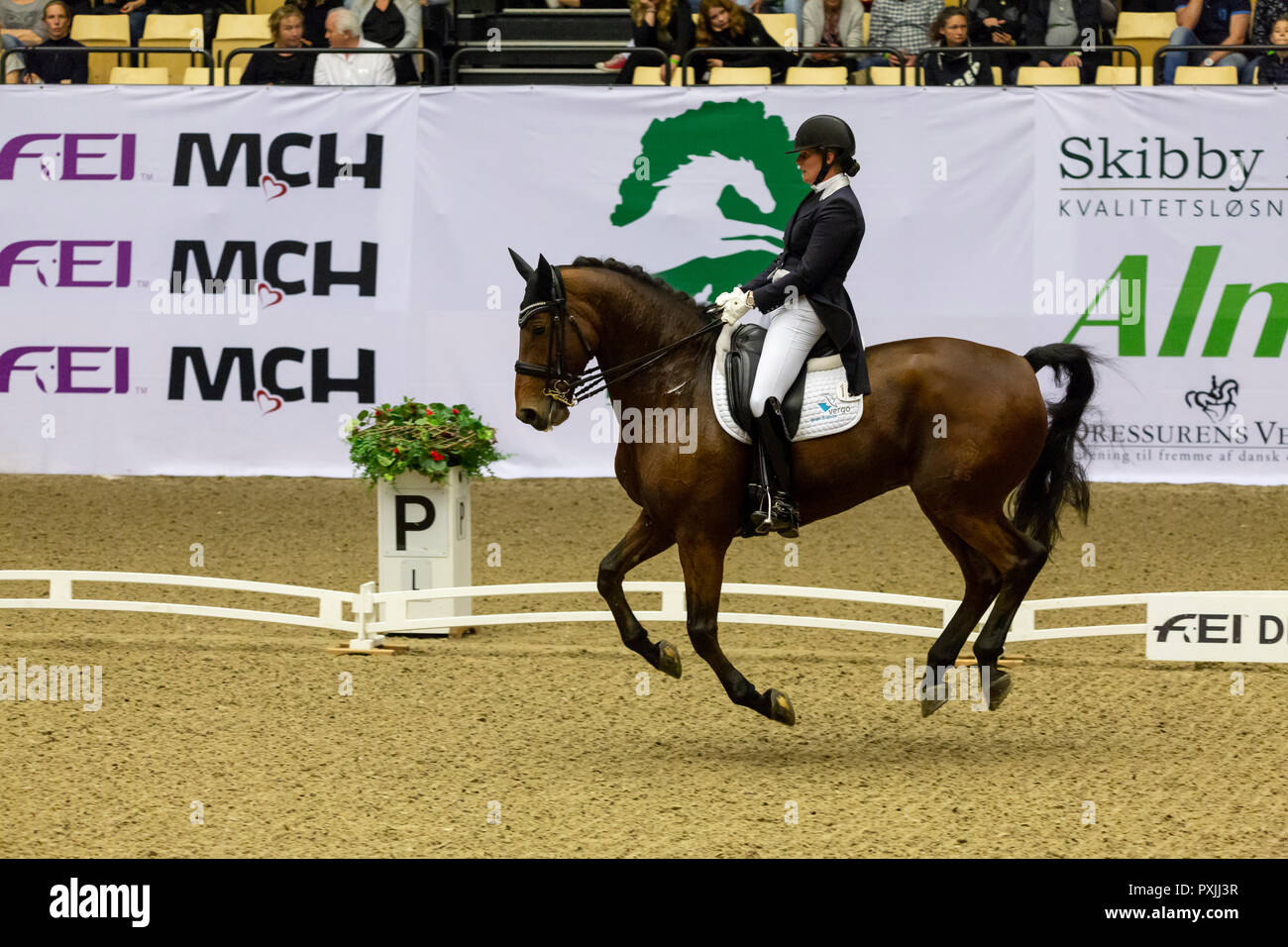 Herning, Dänemark. 21. Oktober, 2018. Boujdour-sakia märtens von Holland reiten Legende von Loxley während der FEI World Cup 2018 im Freestyle Dressur in Dänemark. Credit: OJPHOTOS/Alamy leben Nachrichten Stockfoto