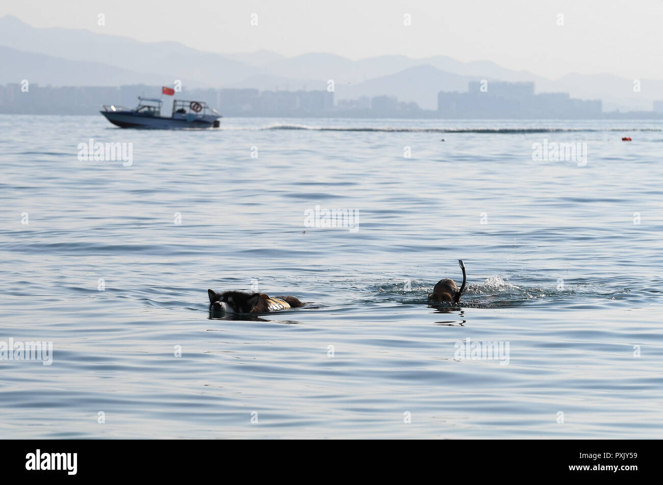 (181023) - HAIKOU, Oktober 23, 2018 (Xinhua) - kanadische Craig Anderson Tauchgänge im Meer vor der Insel in Sanya, South China Hainan Provinz, Sept. 20, 2018. Anderson kam im Februar an der West Island, bewohnt von rund 4.000 Personen. Einheimische angesehen Anderson als eine Art Schnitzeljagd, als er das erste Mal hier war, als er um den Strand fast jeden Tag wanderte, Treibholz, Plastikflaschen, zerbrochene Gläser, und rostige Stück Eisen. Die Zeit verging, und die Einheimischen klar, dass Anderson ist ein Künstler, der sich für den Umweltschutz art Design widmet. Er profitiert die recyclingfähigen und r Stockfoto