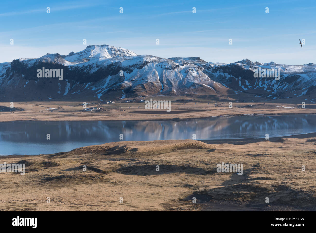 Blick auf die schneebedeckten Reynisfjall Berge von Dyrholaey, Island Stockfoto