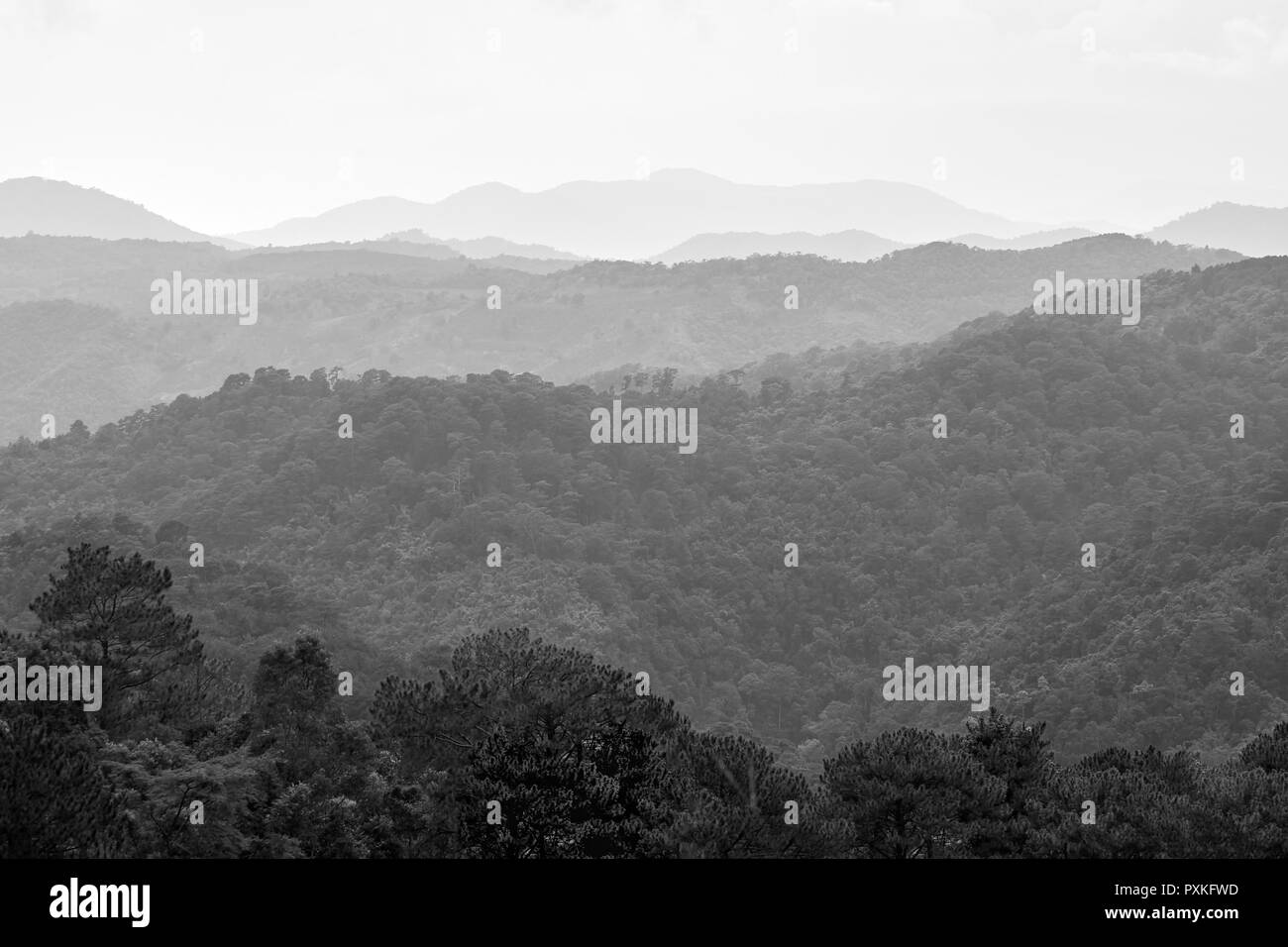 Berg Schichten, Lam Dong, Vietnam Stockfoto