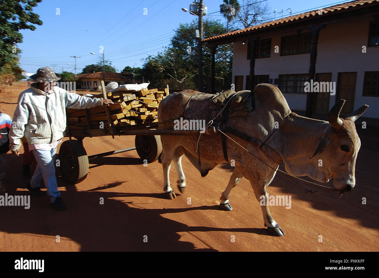 Entlang der Straßen von Concepcion. Stockfoto