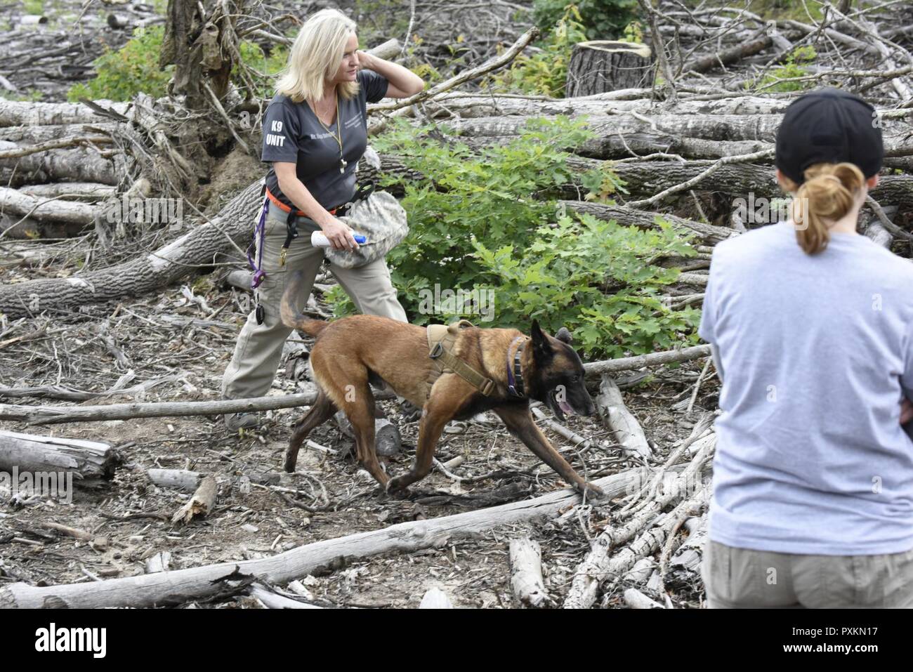 Kadaver Hunde Stockfotos Und Bilder Kaufen Alamy