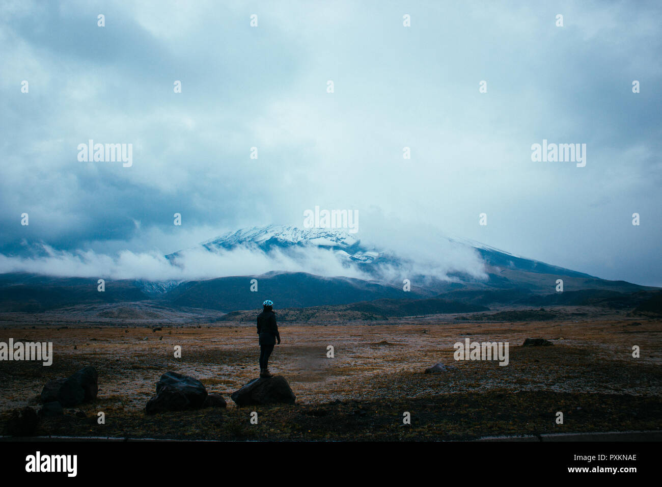 Blick auf die Strato Vulkan Cotopaxi, Ecuador Stockfoto