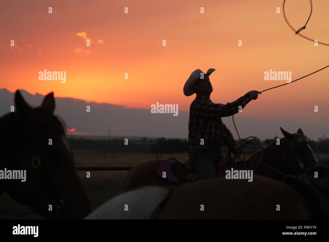Cowboy remaking eine Schleife in seiner Lariat bei Sonnenuntergang Stockfoto