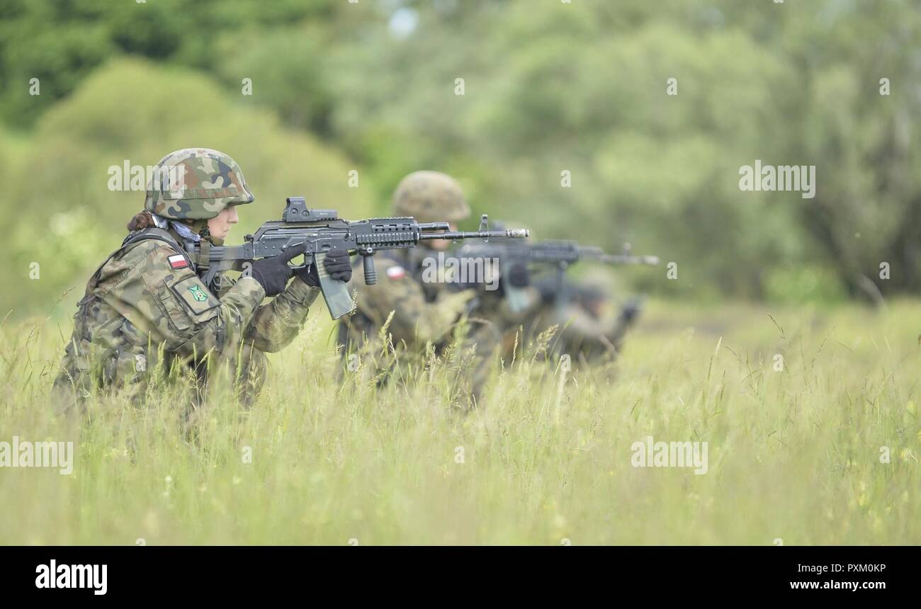 Bild: NATO-Truppen aus Polen und Rumänien Mechanisierte Einheiten Praxis Joint Operations Training der Patrouille und voraus Übungen auf Übung Noble Springen 17 Zielgruppen, in Cincu Rumänien. Übung Noble Jump ist ein Meilenstein für die NATO dieses Jahr, da es die erste große Übung, in der bedeutende Kräfte und ihre Anlagen in ganz Europa bewegt werden, um die Fähigkeit der Allianz zu schnell Kräfte, wo sie gebraucht werden, um zu verhindern, dass Konflikte bereitstellen zu demonstrieren repräsentiert Stockfoto