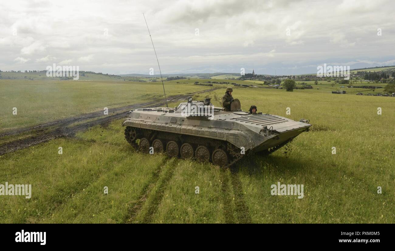 Bild: NATO-Truppen aus Polen und Rumänien Mechanisierte Einheiten Praxis Joint Operations Training der Patrouille und voraus Übungen auf Übung Noble Springen 17 Zielgruppen, in Cincu Rumänien. Übung Noble Jump ist ein Meilenstein für die NATO dieses Jahr, da es die erste große Übung, in der bedeutende Kräfte und ihre Anlagen in ganz Europa bewegt werden, um die Fähigkeit der Allianz zu schnell Kräfte, wo sie gebraucht werden, um zu verhindern, dass Konflikte bereitstellen zu demonstrieren repräsentiert Stockfoto