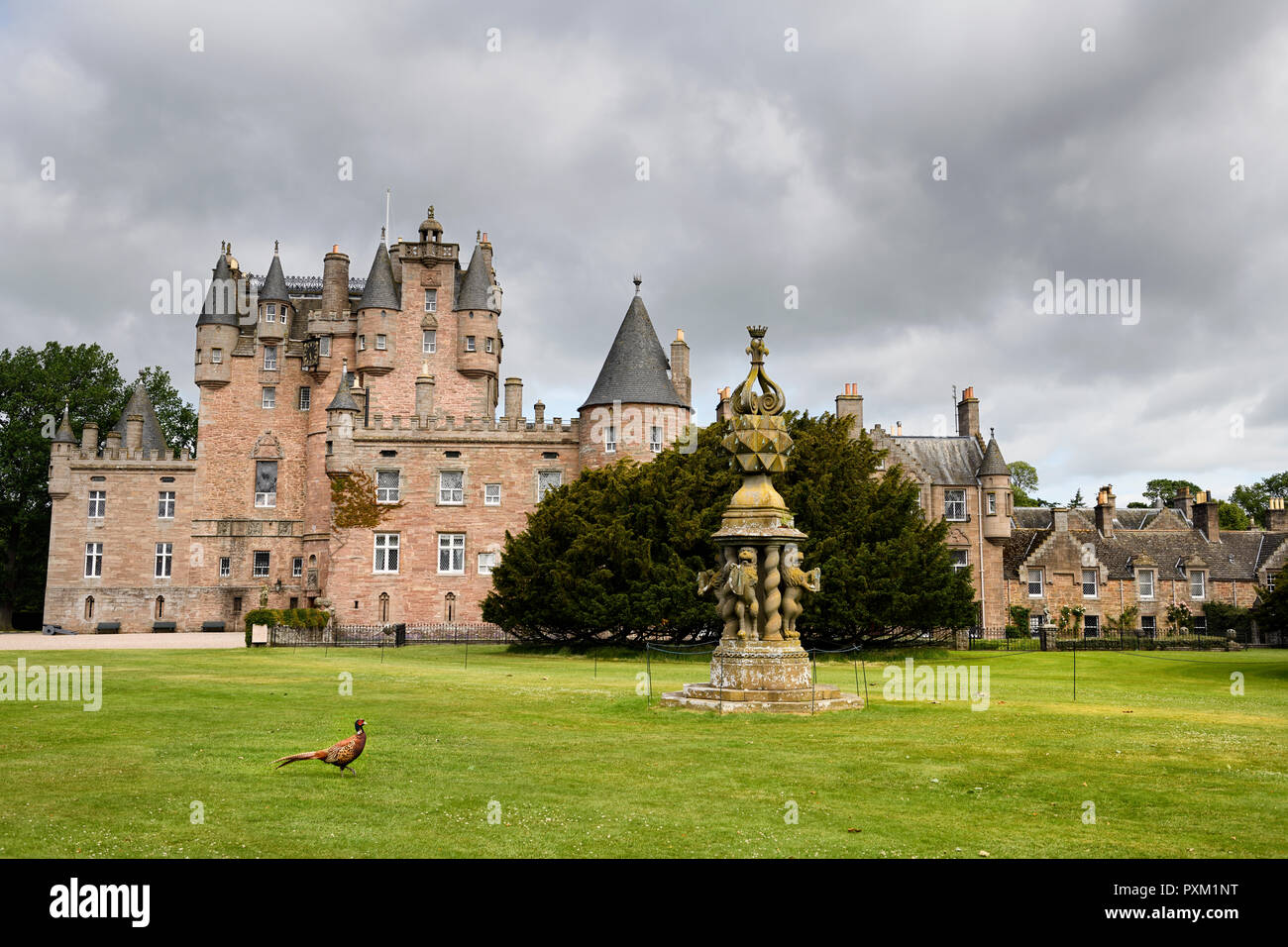 Vorderen Rasen von Glamis Castle Elternhaus der Königin Mutter mit wilden Ring-necked Pheasant und die große Sonnenuhr Schottland Großbritannien Stockfoto
