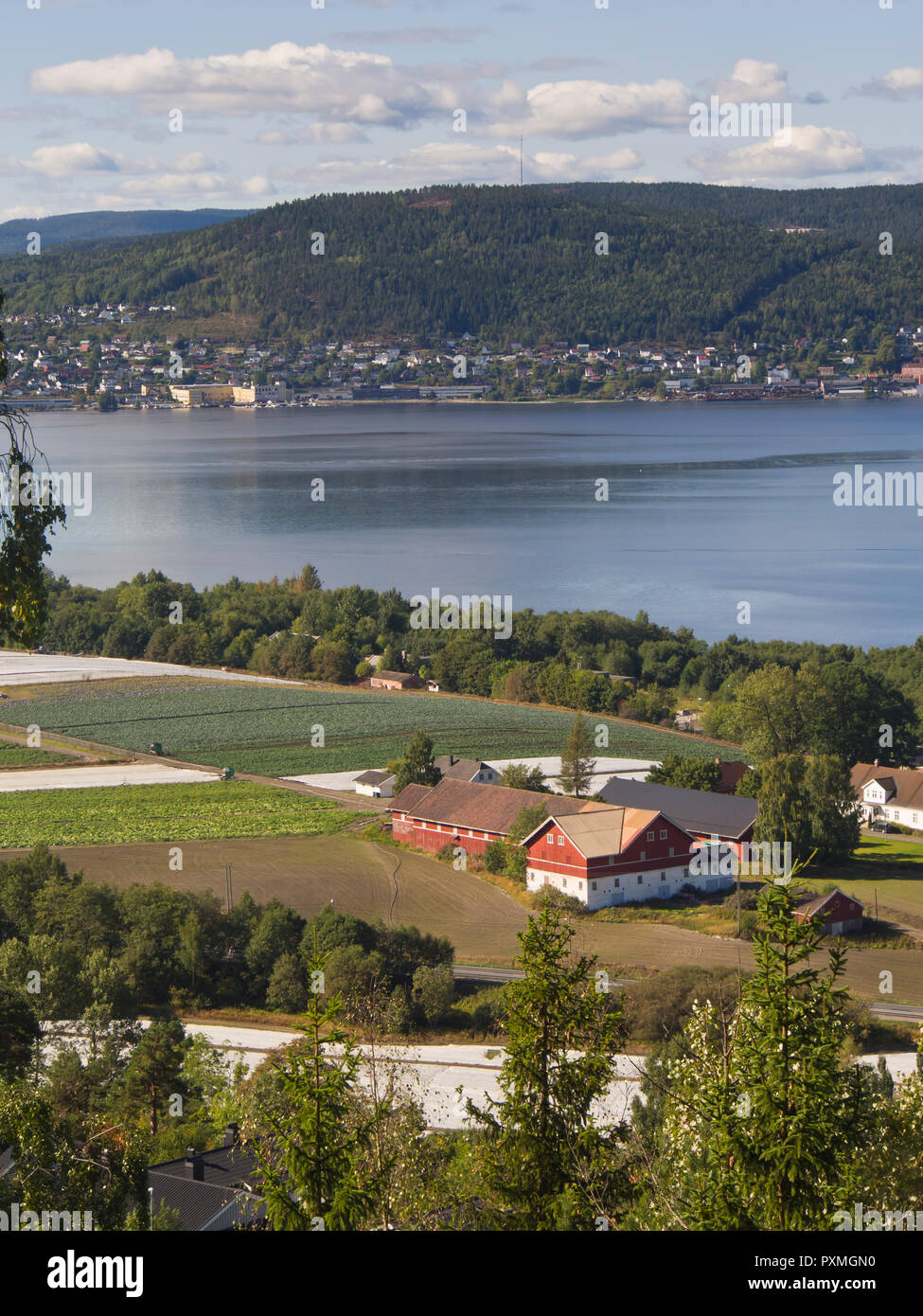 Blick auf drammenfjord zwischen Lierbyen Spikkestad und in der Nähe von Drammen Norwegen, von der alten Bahnstrecke zu einem Zyklus umgewandelt und Wanderweg Stockfoto