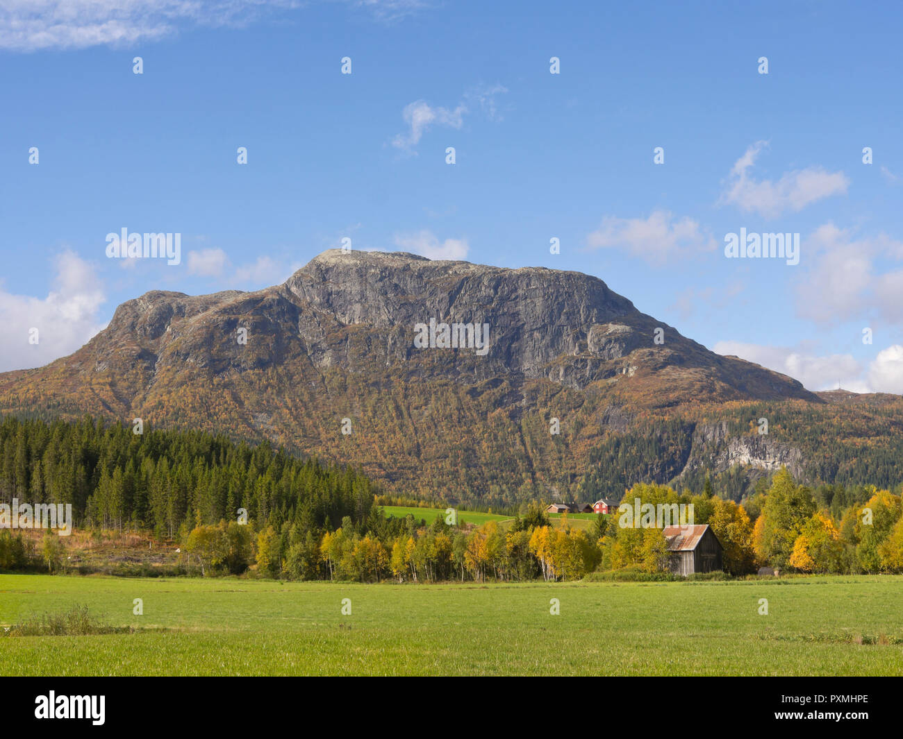 Felder in einer wunderschönen Landschaft im Tal Hemsedal Norwegen mit goldener Herbst Farben Stockfoto