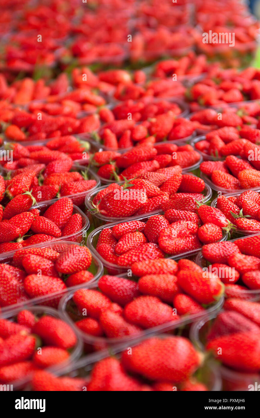 Diagonal von frischen Erdbeeren auf einem Markt in palstic Badewannen Stockfoto