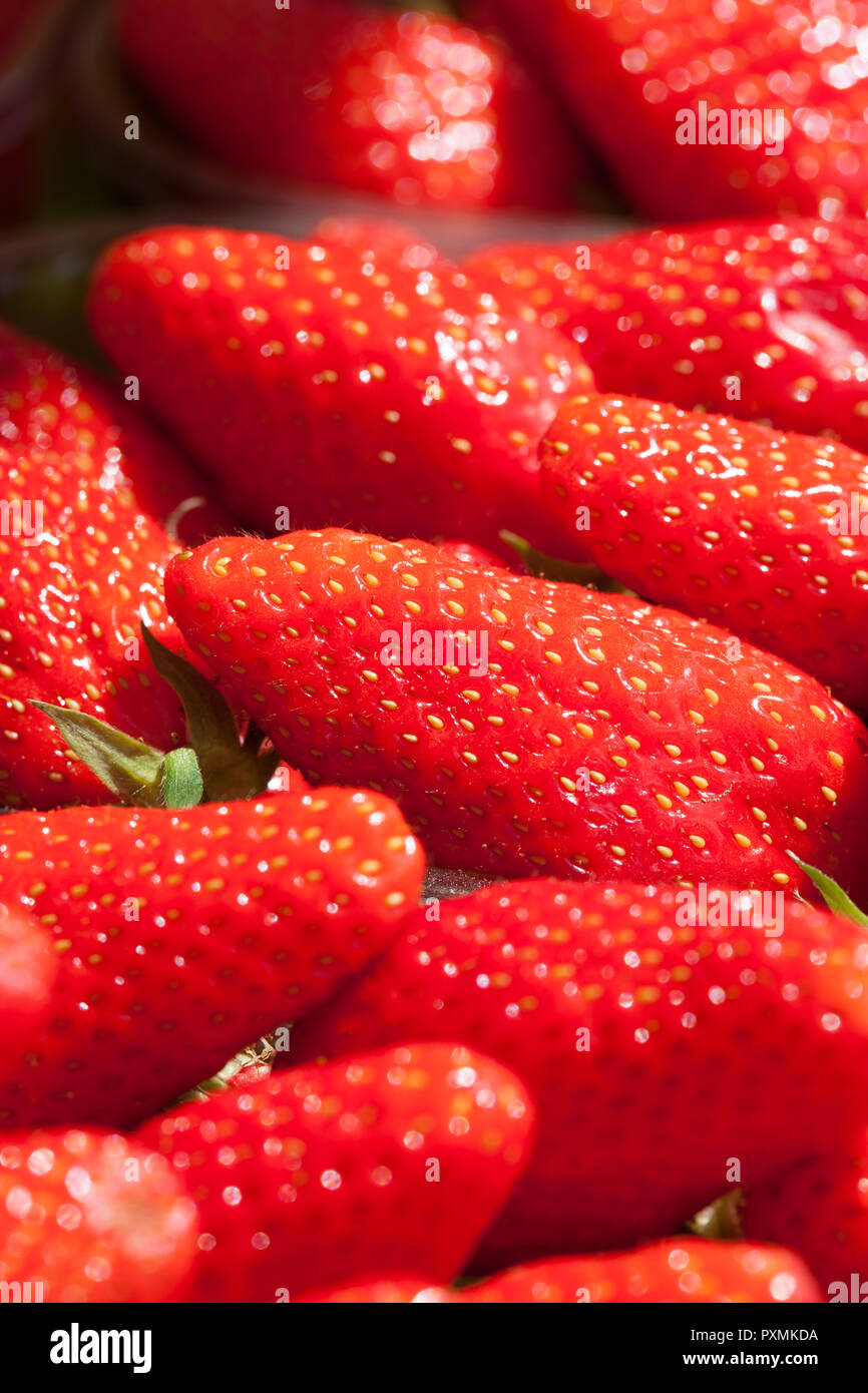 Detail der frische reife Erdbeeren auf einem Marktstand Stockfoto