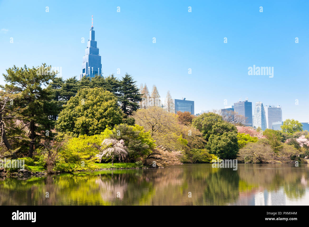 Imperial Garden in Shinjuku, Tokyo, Japan Stockfoto